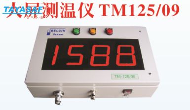 大屏幕钢水测温仪TM125 钢水测温仪 铸造测温仪 液态金属测温仪